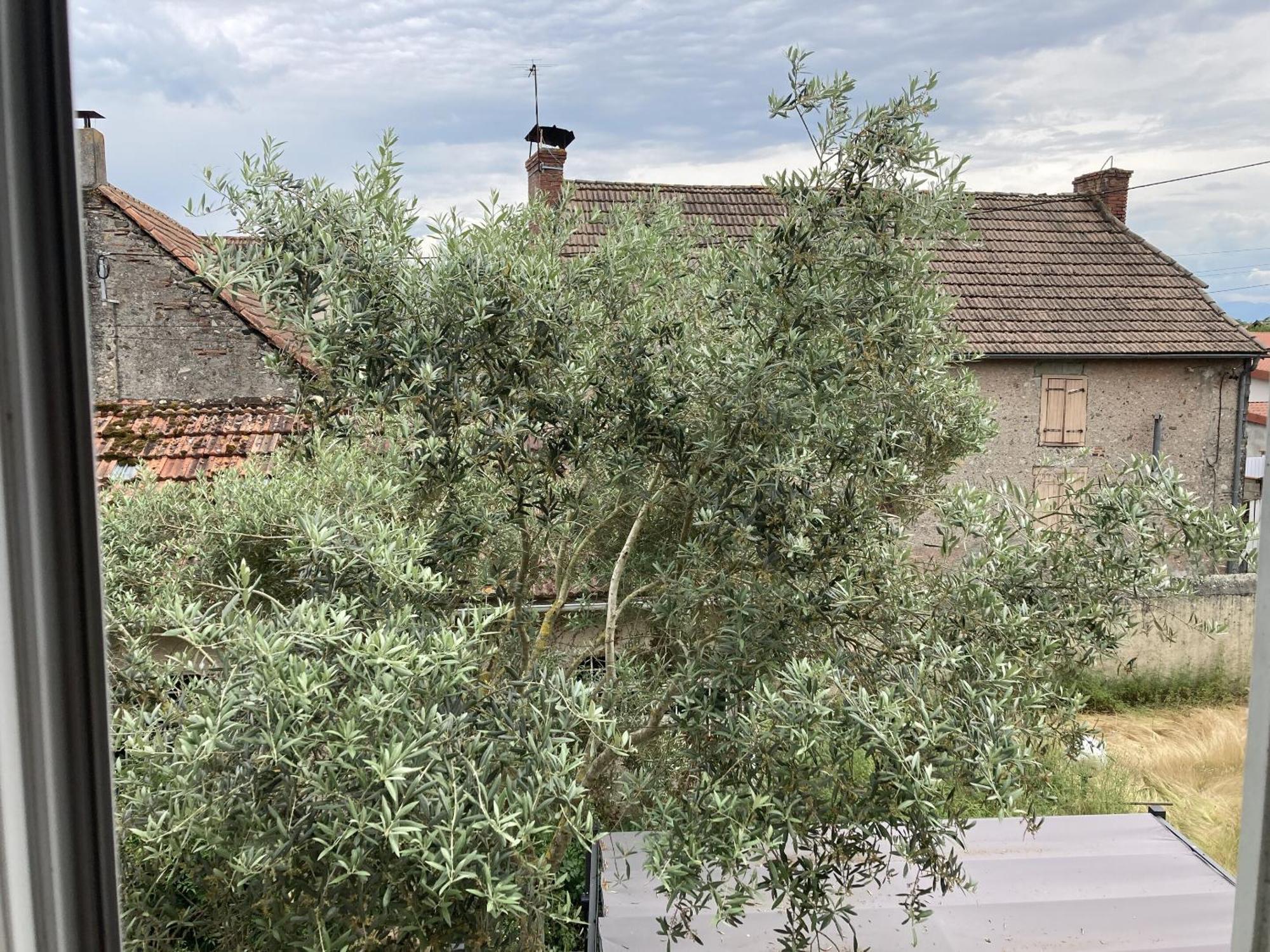 Location Appartement Des Pyrenees Borderes-sur-l'Echez Kamer foto